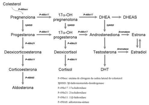 Corticosteroides pdf