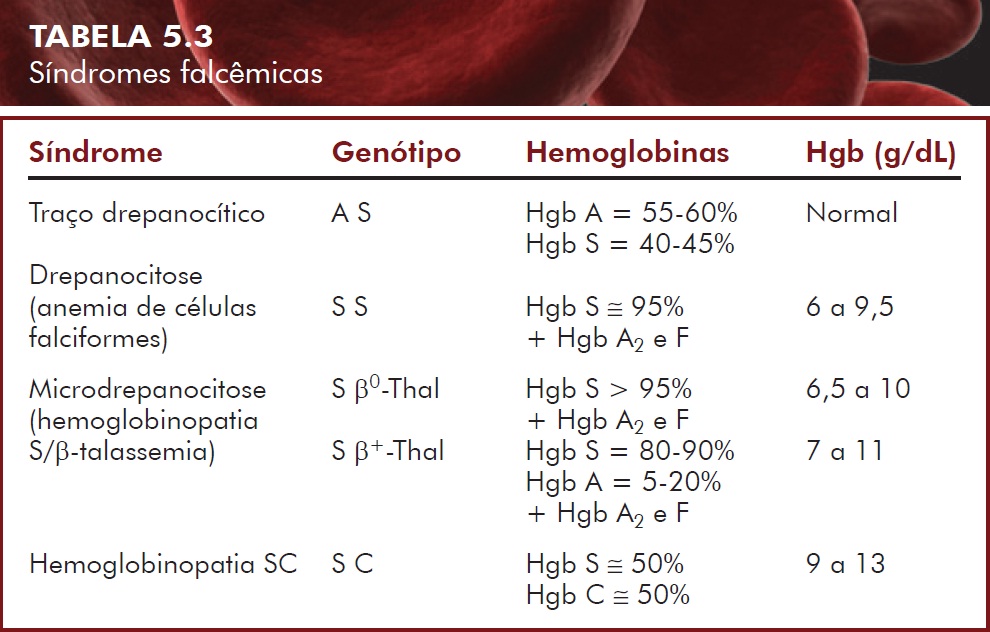 Cuánto tiempo vive una persona con anemia hemolítica